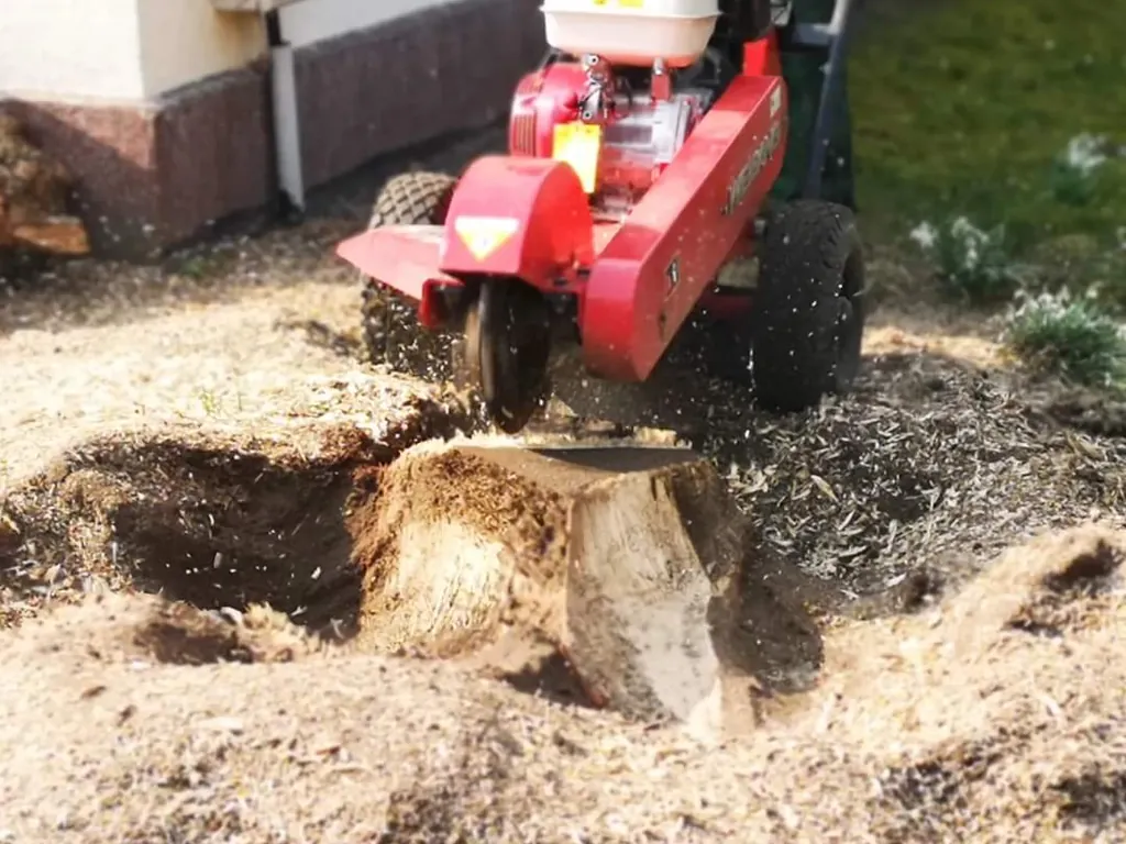 Stubbenfräse beim Entfernen eines Baumstumpfs