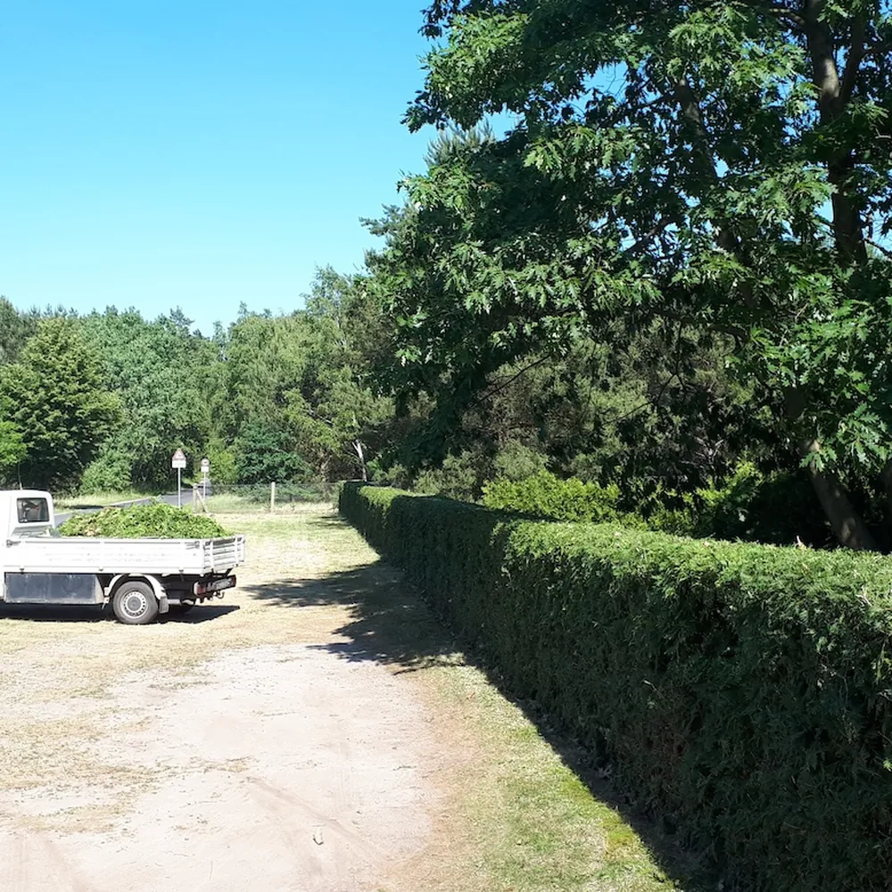 Transporter mit geladenem Schnittgut neben frisch geschnittener Hecke