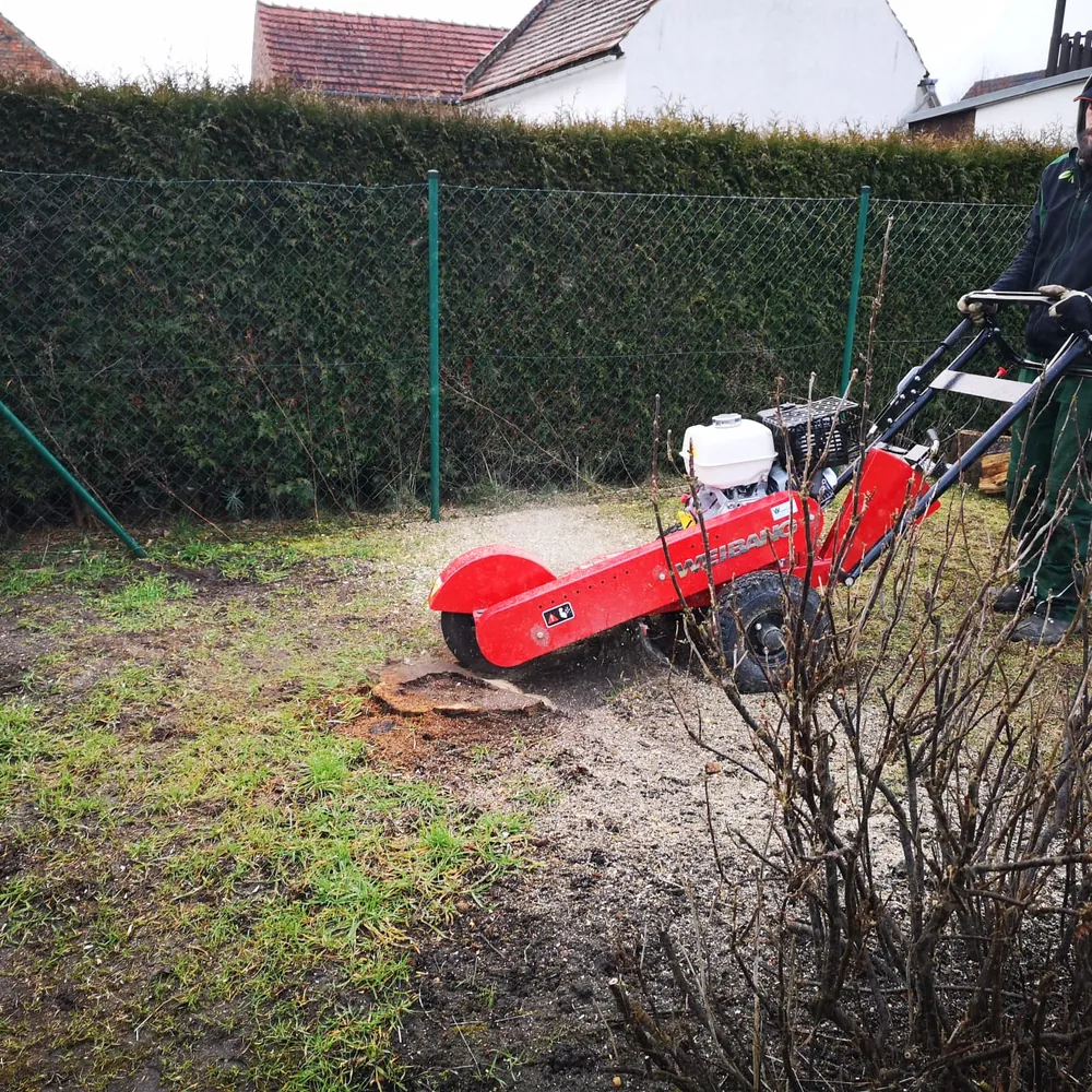 Stubbenfräse entfernt einen Baumstumpf im Garten