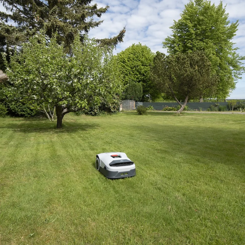 Mähroboter Anthbot Genie auf großer Rasenfläche unter Obstbaum